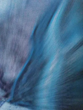 Me ofrezco con carnet de conducir B1.