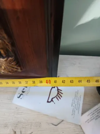 Dipinto olio su tavola con cornice radica