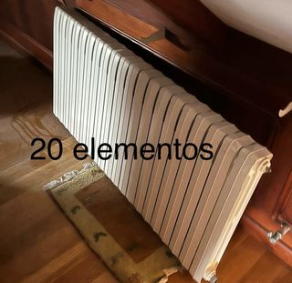 Radiador de hierro fundido blanco