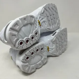 Nike Air Max Plus Blancas