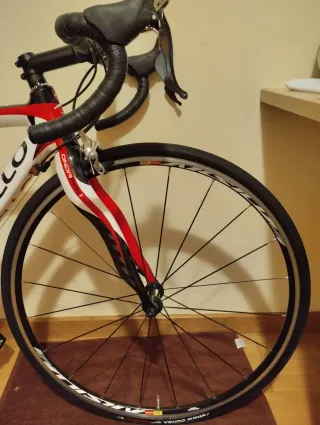 Bicicleta de carretera Pinarello talla 50