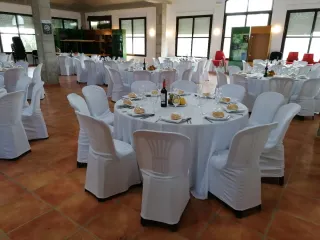 para celebraciones y monterias