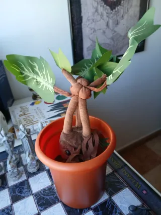 Mandrágora Película Harry Potter Sonido Real