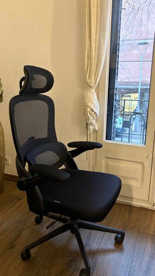 Silla de Oficina Ergonómica SIHOO M102C