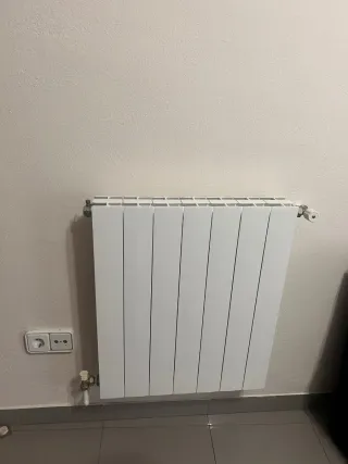 Calentador Gas Lamborghini DUO