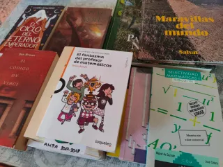 Lote libros varios, ficcion,salud,drama, mate...