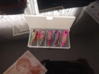 Set 5 Popper Señuelos Pesca Hunt House