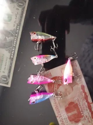 Set 5 Popper Señuelos Pesca Hunt House