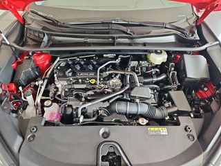 Lexus LBX 1.5 136cv HEV Elegant+