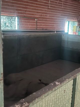 Remolque basculante 4x2.15