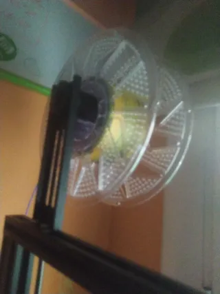 impresion 3d figuras 3D