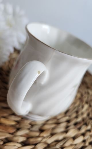 Preciosa Taza tipo Mug porcelana