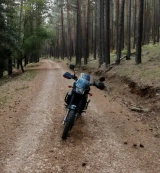 Kawasaki KLE 500 Trail 500cc