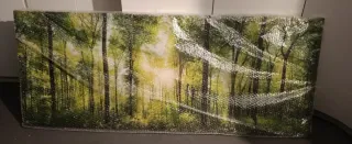 Cuadro Salón / Dormitorio de Bosque Verde con Luz