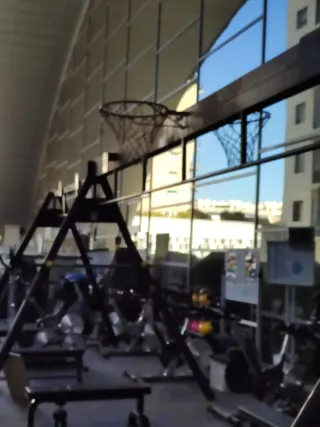 Jaula Fitness Crossfit 12m