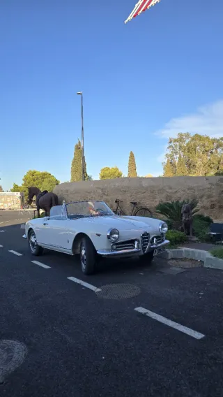Adorno frontal Alfa Romeo Giulietta Spider