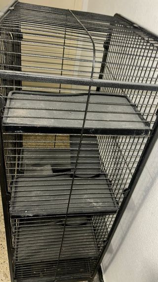 Jaula grande roedores con ruedas