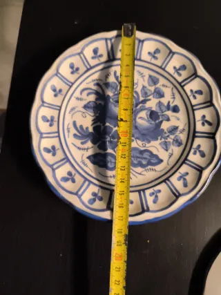 Due piatti decorativi blu e bianchi