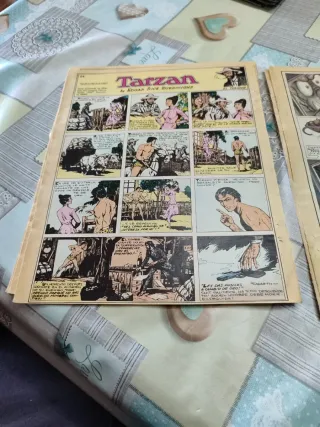 Tebeos antiguos Leo Roa y Tarzan "ABC"