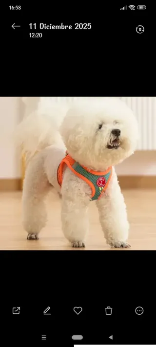 Arnés para perro pequeño S