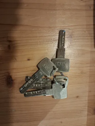 Cerradura Arcu Cilindro Seguridad y Escudo