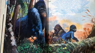 Libro Gordo de Petete amarillo y magenta (2 tomos)