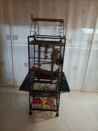 Jaula Yaco Negra/Gris