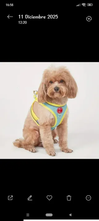 Arnés para perros pequeños PP DOG