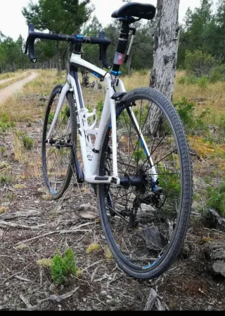 Bicicleta Trek Domane 2.3