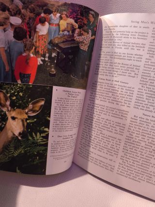 National Geographic revista antigua.