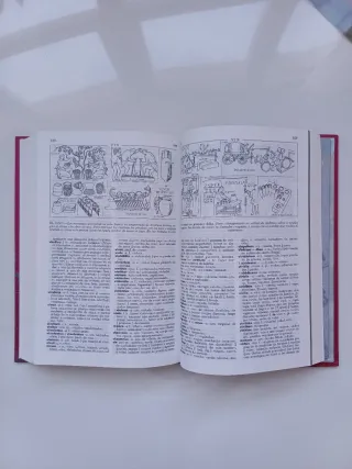 Diccionario Ilustrado Latín. Latino-Español/ Es...