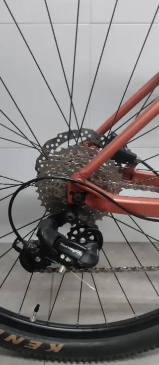 Bicicleta Montaña Orbea Onna 50 2024   Talla L