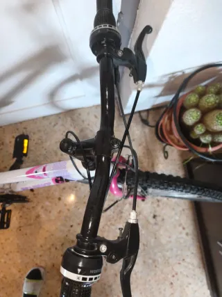 Bicicleta Mujer Rueda 26