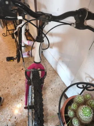 Bicicleta Mujer Rueda 26