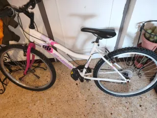 Bicicleta Mujer Rueda 26