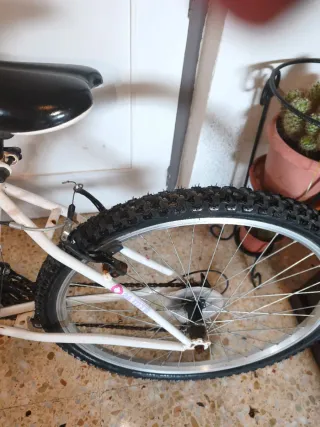 Bicicleta Mujer Rueda 26