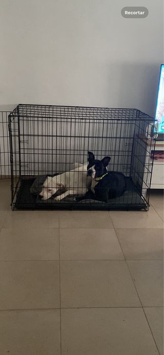 Jaula grande para perros grandes