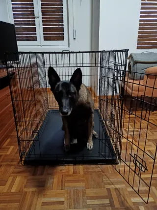 Jaula metálica para perro negra