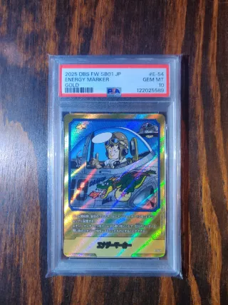 2025 DBS FW SB01 JP Energy Marker Gold E-54