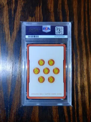 2025 DBS FW SB01 JP Energy Marker Gold E-54