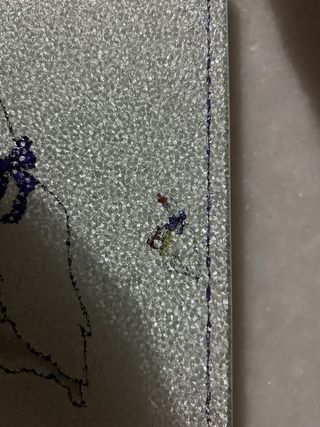 Tabla de vidrio templado con gansos