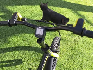 Bici infantil 16 pulgadas niño