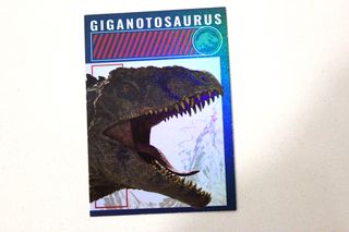 Album Figurine Jurassic World con Card