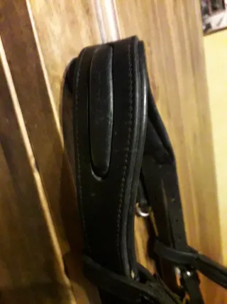 Cabezada Doma Clásica Negra