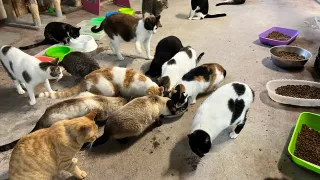 Berretto per bambini a maglia con motivo di Stitch