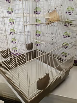 JAULA PAJARO GRANDE 75x42x43