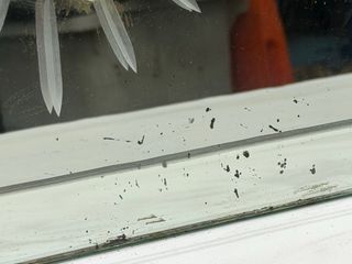 Espejo antiguo con adornos de bronce