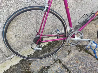 Bicicleta carretera Cobra Snake