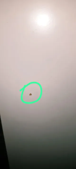 Estanterías de madera blancas