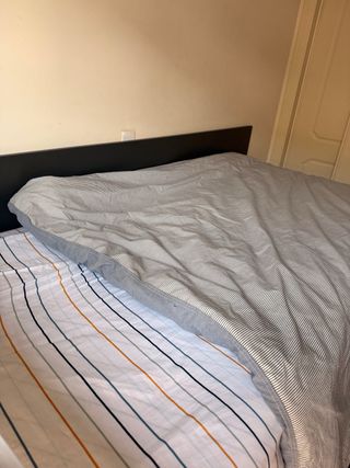 Cama nido con colchón de 90x180cm